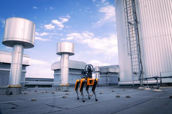 Robotkutyák álltak szolgálatba Bécsben